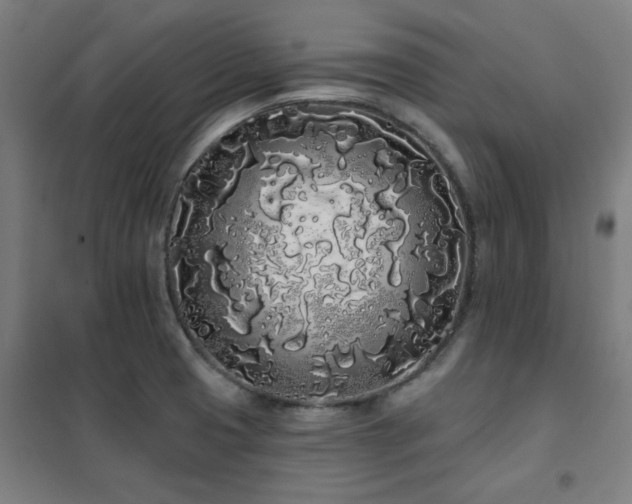 X0000102291425200807251411