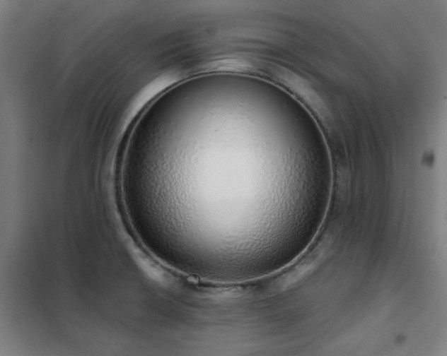 X0000102291426200807251411