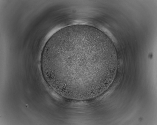 X0000102291427200807251411
