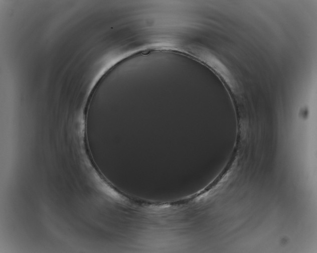 X0000102291428200807251411