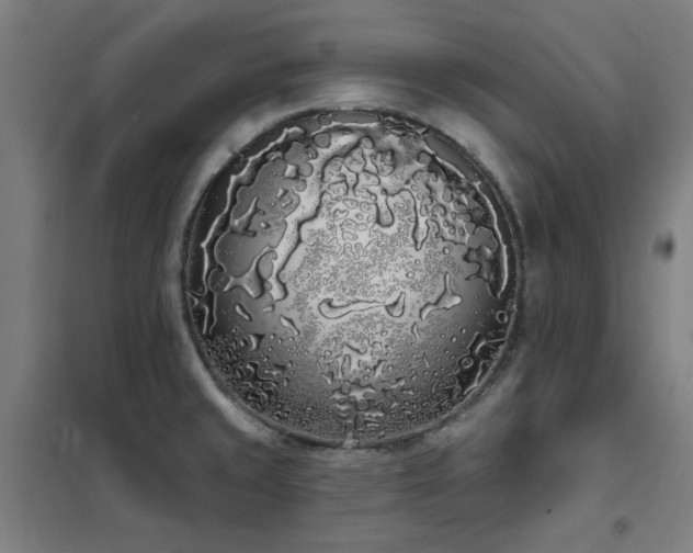 X0000102291429200807251411