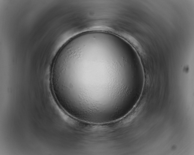 X0000102291430200807251411