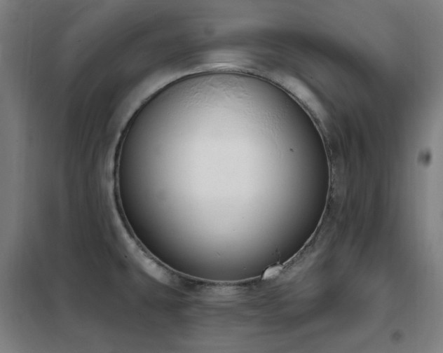 X0000102291431200807251411