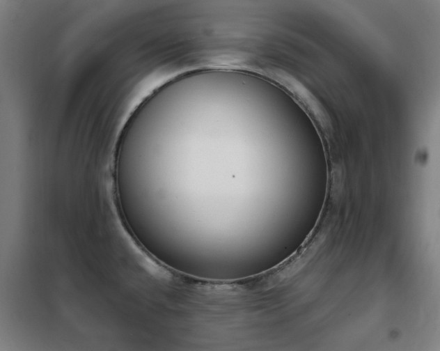 X0000102291432200807251411