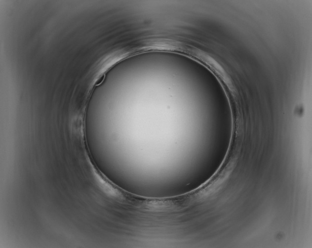X0000102291433200807251411