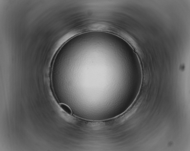 X0000102291434200807251411