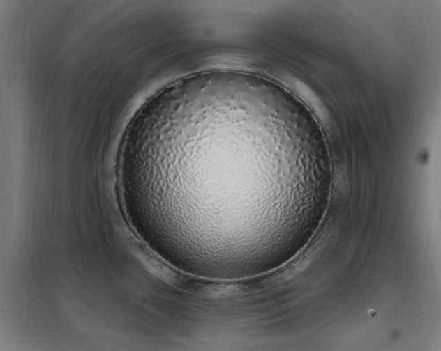 X0000102291435200807251411