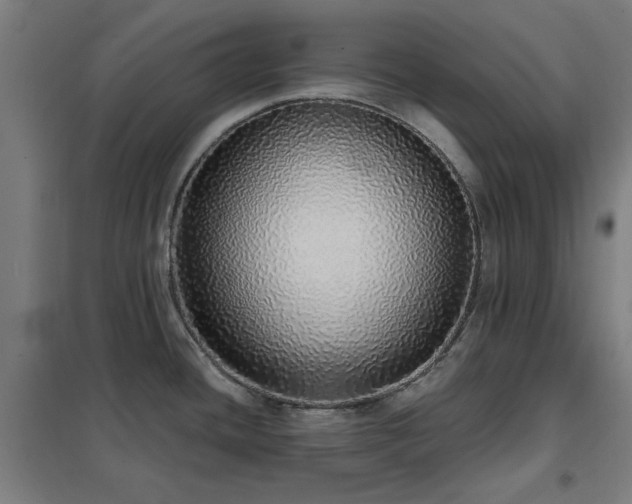 X0000102291436200807251411