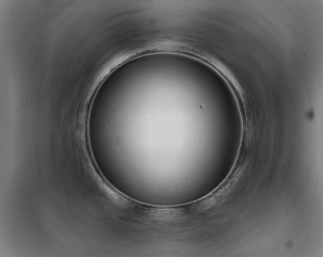 X0000102291437200807251411