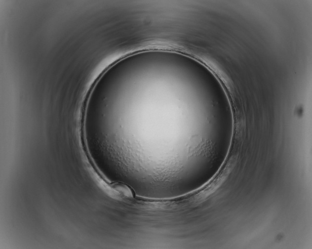 X0000102291438200807251411