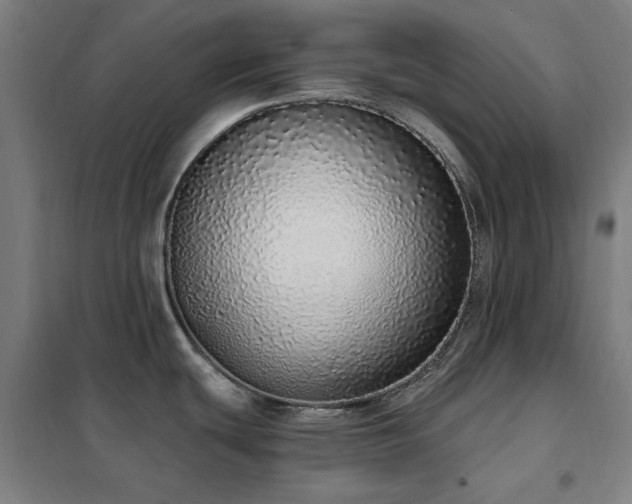X0000102291439200807251411