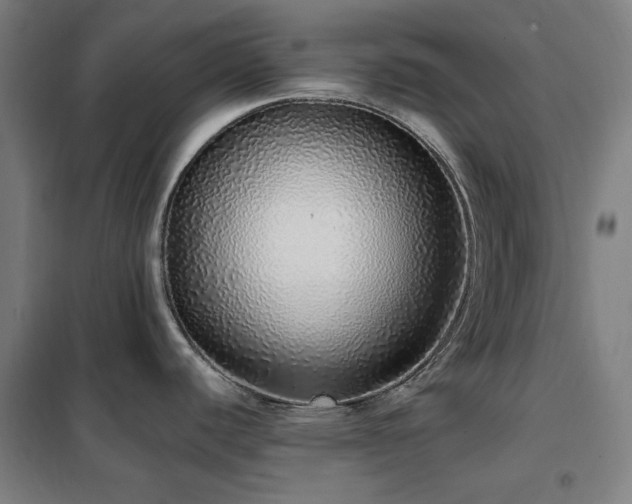 X0000102291440200807251411