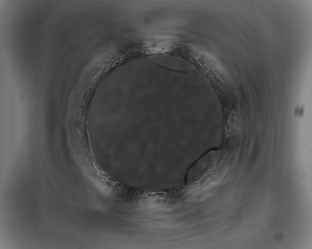 X0000102291441200807251411