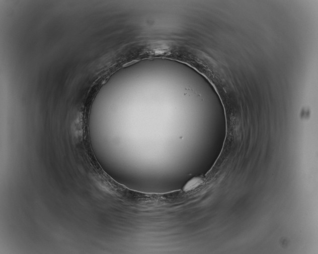 X0000102291442200807251411