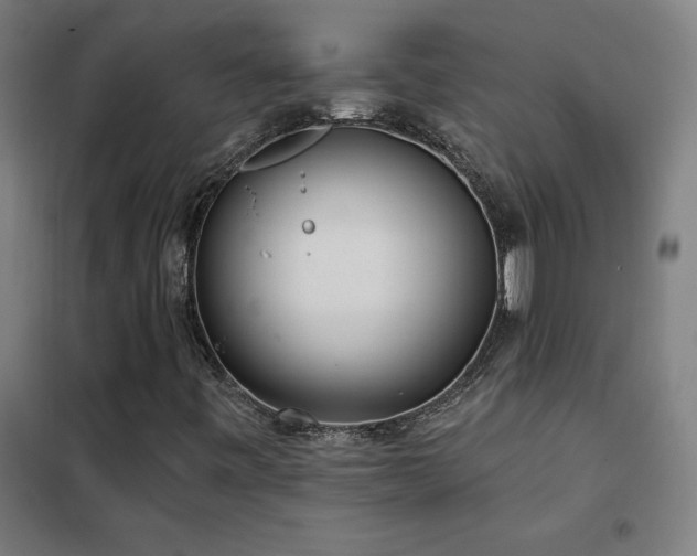 X0000102291443200807251411