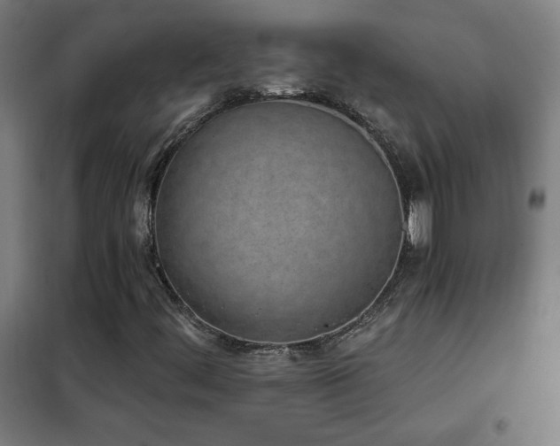 X0000102291444200807251411