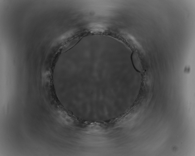 X0000102291445200807251411