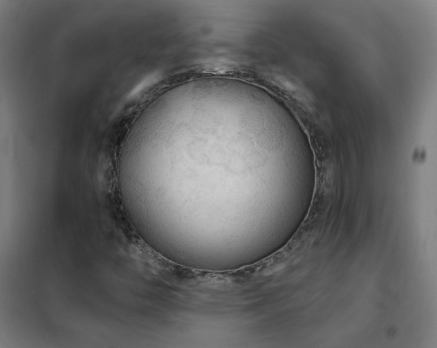 X0000102291446200807251411