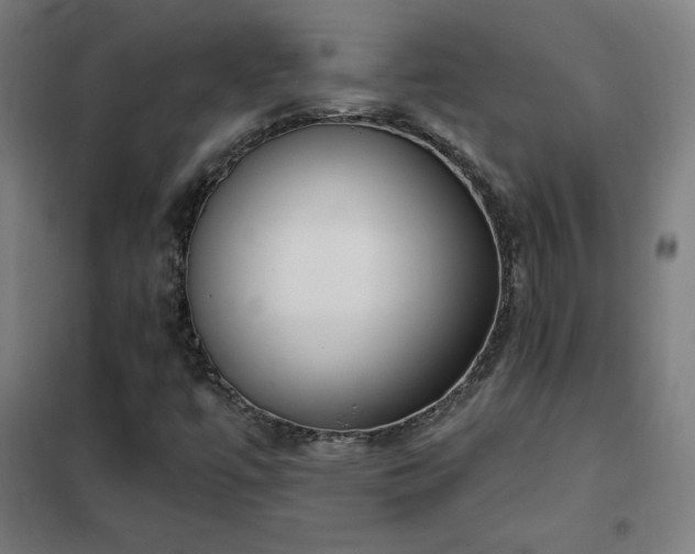X0000102291447200807251411