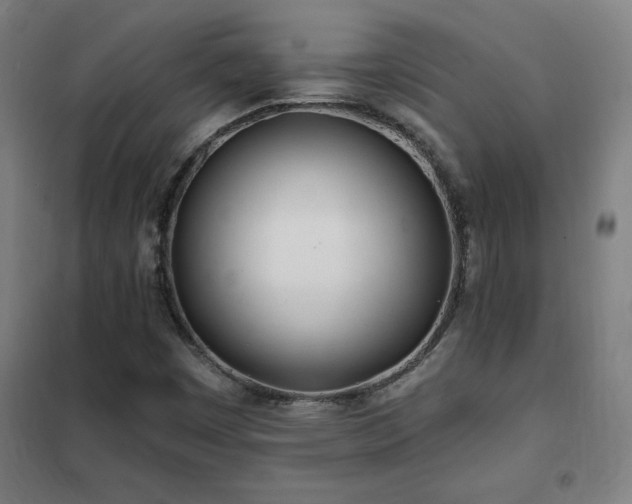 X0000102291449200807251410