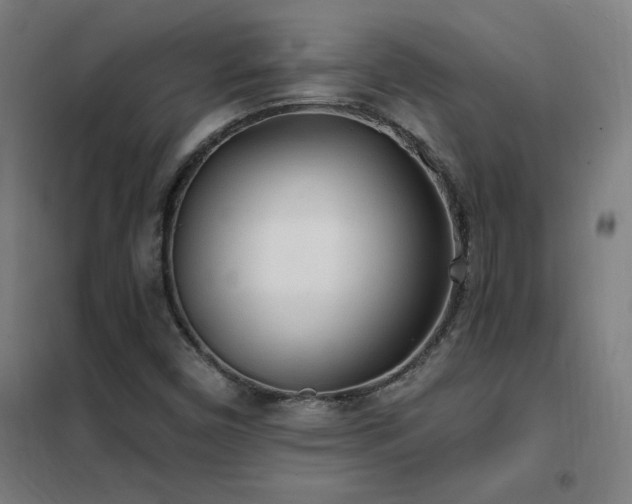 X0000102291450200807251410