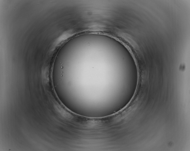 X0000102291451200807251410