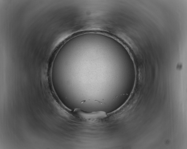 X0000102291452200807251410