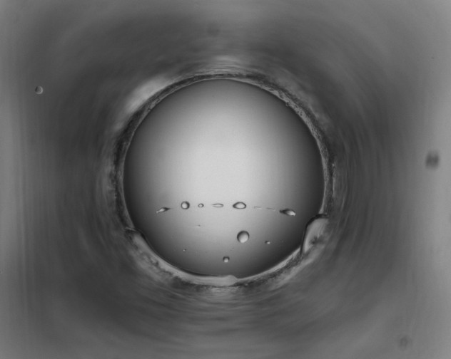 X0000102291453200807251410