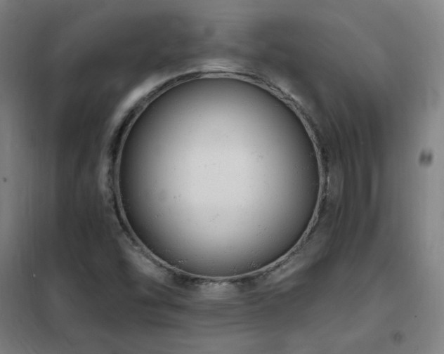 X0000102291454200807251410