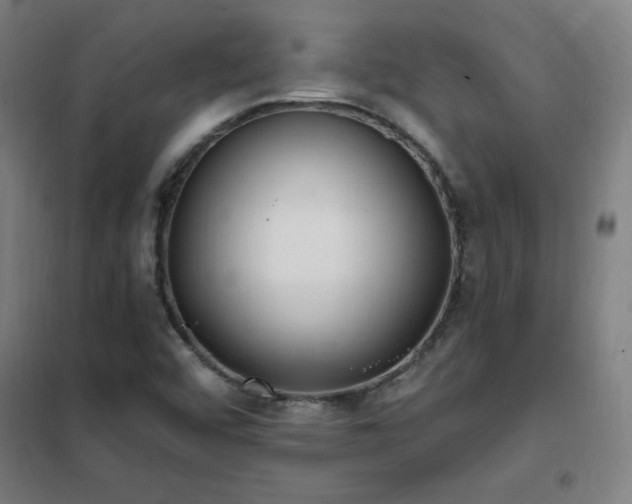X0000102291456200807251410