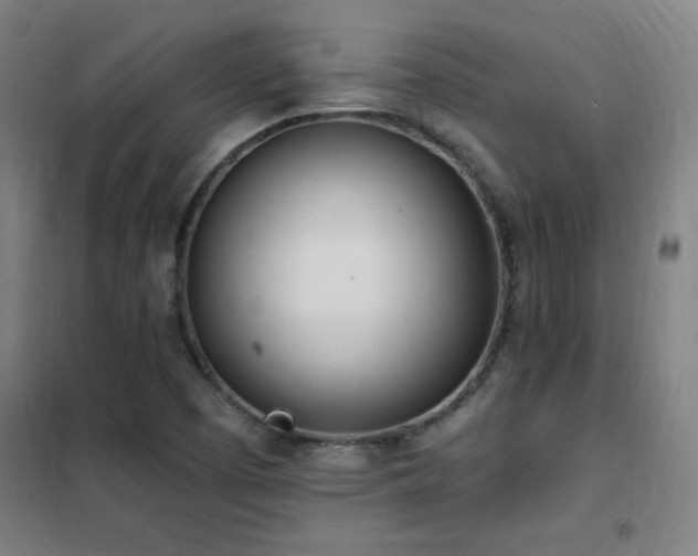 X0000102291457200807251410