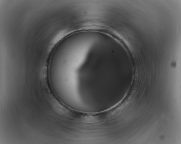 X0000102291459200807251410