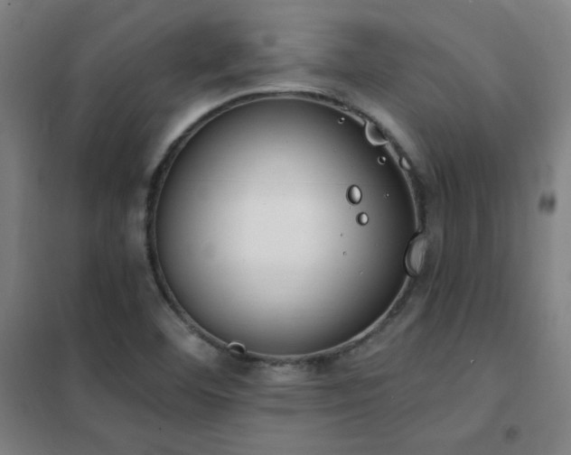 X0000102291460200807251410