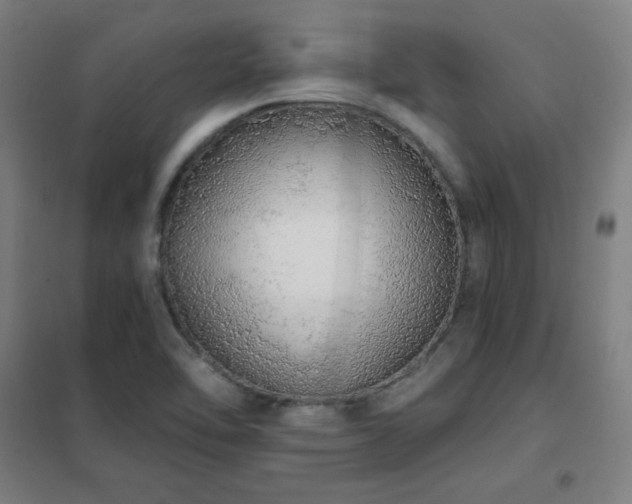 X0000102291462200807251410