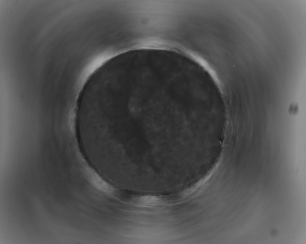 X0000102291463200807251410