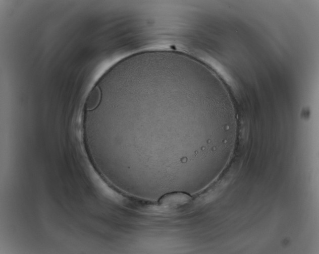 X0000102291468200807251410
