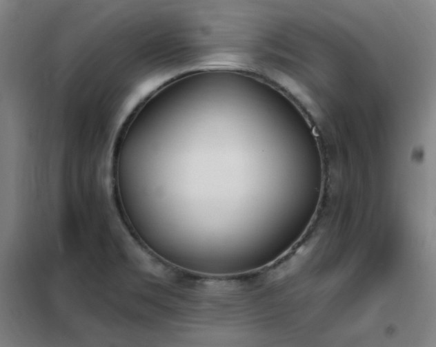 X0000102291469200807251410