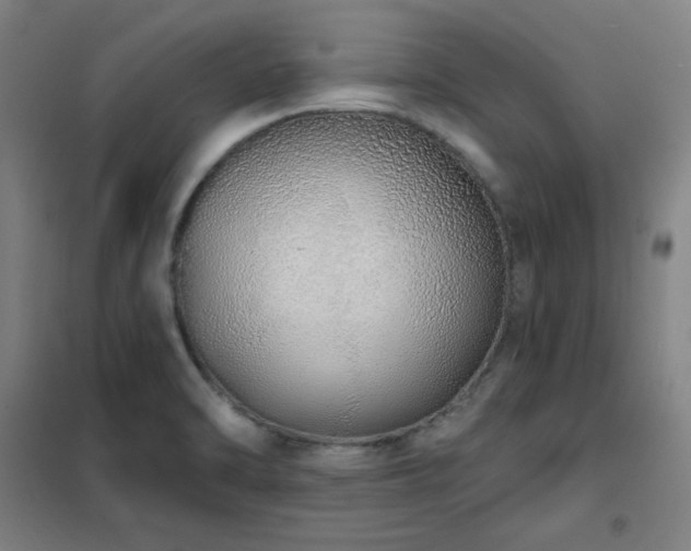 X0000102291470200807251410