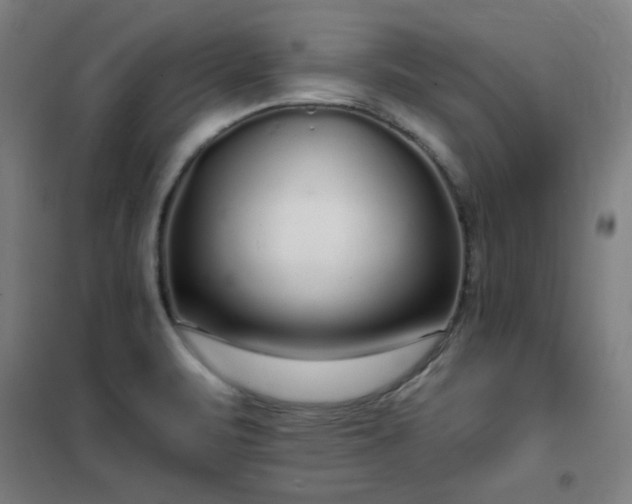 X0000102291471200807251410