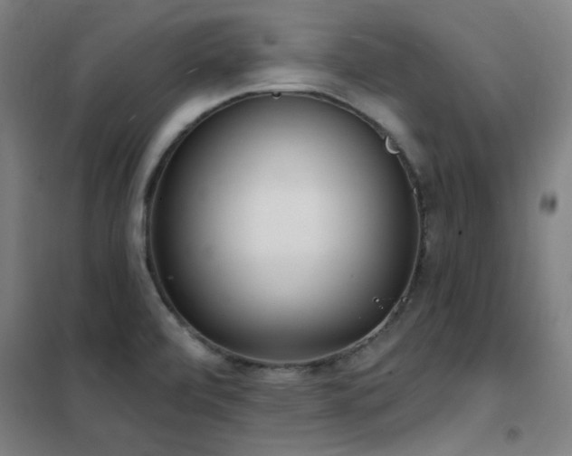 X0000102291472200807251410