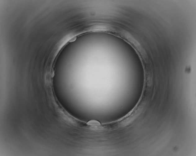 X0000102291473200807251410