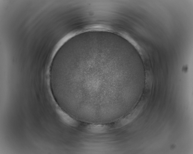 X0000102291474200807251410