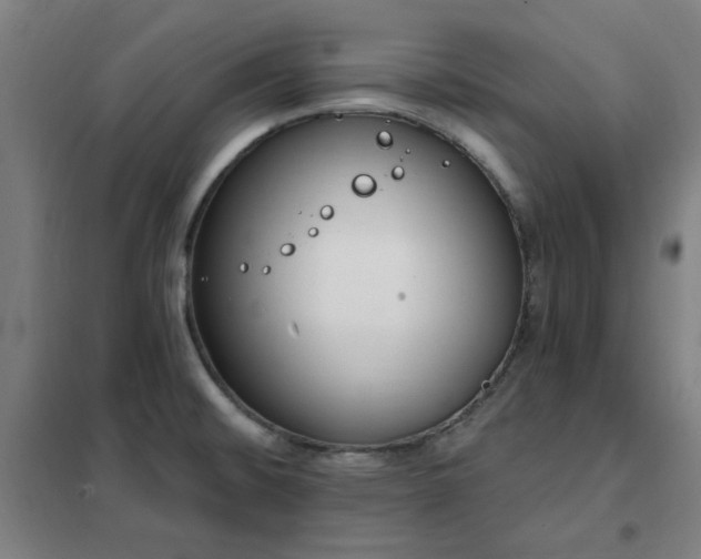 X0000102291476200807251410