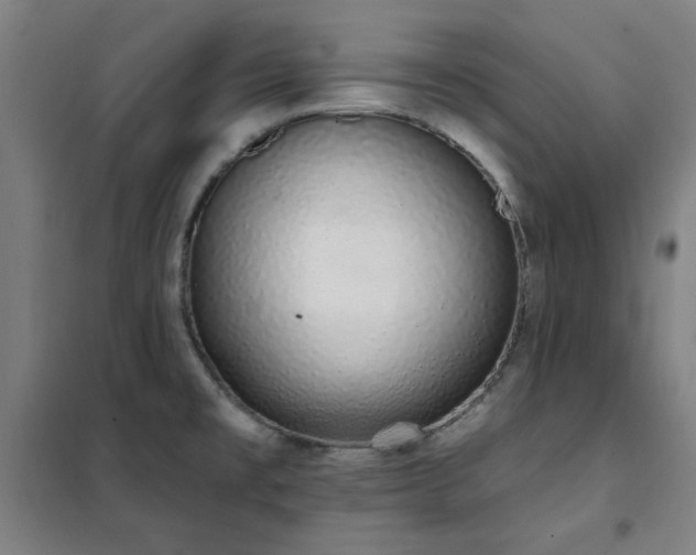 X0000102291477200807251410