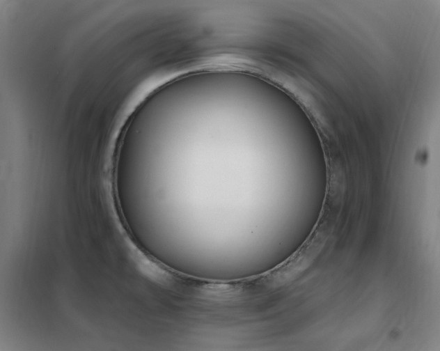 X0000102291478200807251410