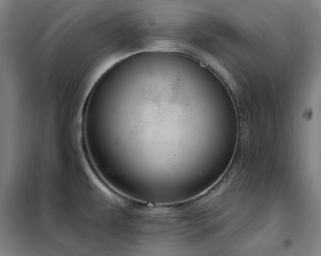 X0000102291479200807251410