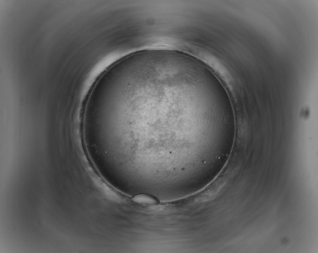 X0000102291480200807251410