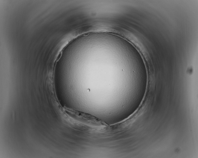 X0000102291481200807251410