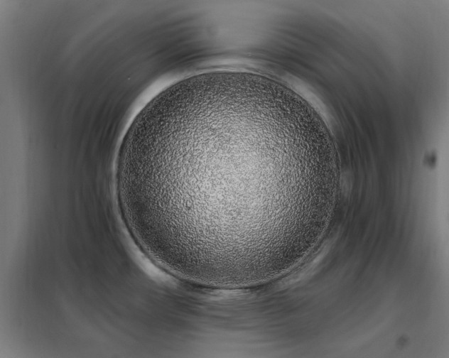X0000102291482200807251410