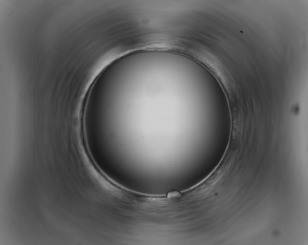 X0000102291483200807251410